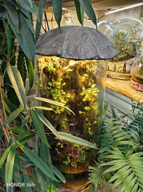 پالاداریوم استوانه ای